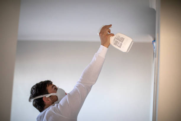 Best Local Mold Removal Service  in Minden, NE