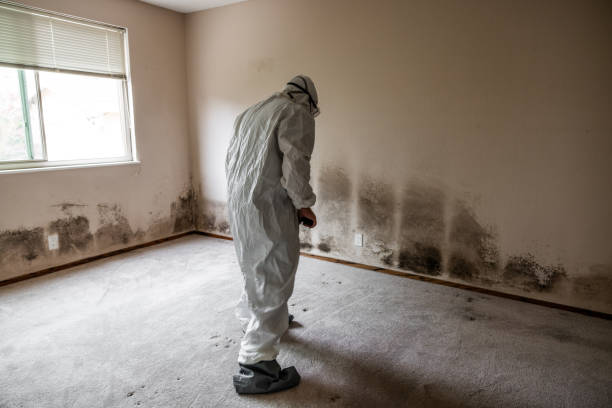 Best Mold Testing  in Minden, NE