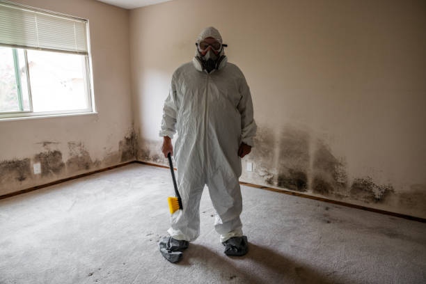 Best Home Mold Removal  in Minden, NE